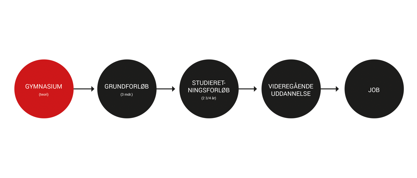 Overblik over gymnasiale uddannelser